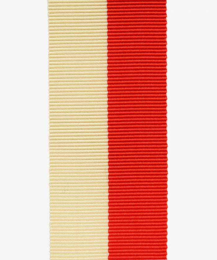 Lübeck, Silver Rescue Medal, Hanseatic Cross (42)